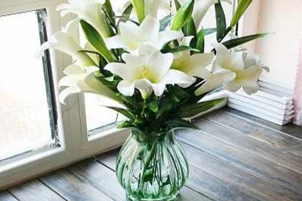 百合花有毒吗,百合对人无毒