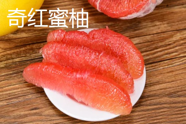 南方可以栽种哪个柑橘苗,推荐东方红橘、奇红蜜柚等
