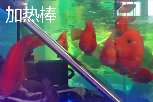 鱼缸耗电量大吗，开一天的话大概需要0.7度电