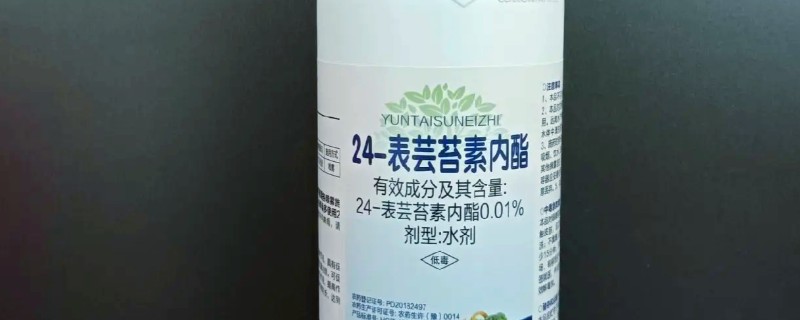 芸苔素内酯对番茄的作用，可增加植株抗性延缓衰老