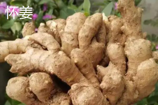 怀姜和生姜的区别,外形、产地、口感等方面不同