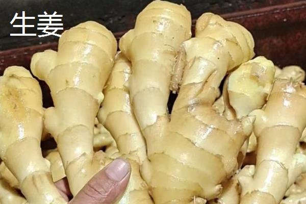 怀姜和生姜的区别,外形、产地、口感等方面不同