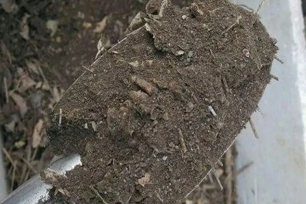 怎么获得腐叶土,可在落叶堆积的地方挖取土壤