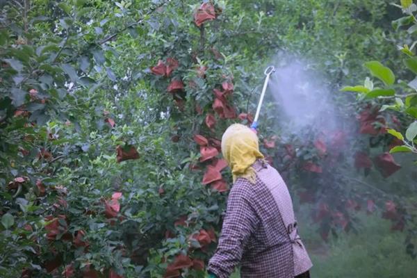 扑草净除草剂的使用范围，可以对蔬菜、水稻、麦类等使用