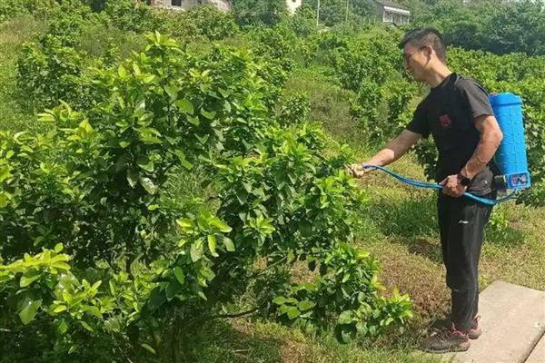 扑草净除草剂的使用范围，可以对蔬菜、水稻、麦类等使用
