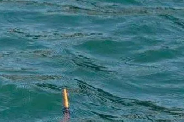 野钓漂相大全以及提竿时机,不同鱼种的漂相不同