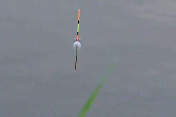 野钓漂相大全以及提竿时机,不同鱼种的漂相不同