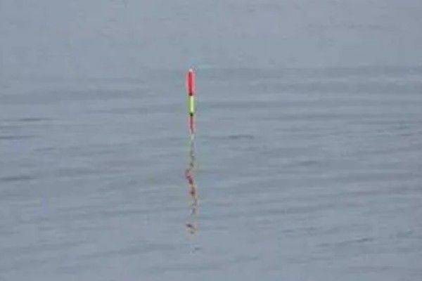 野钓漂相大全以及提竿时机,不同鱼种的漂相不同