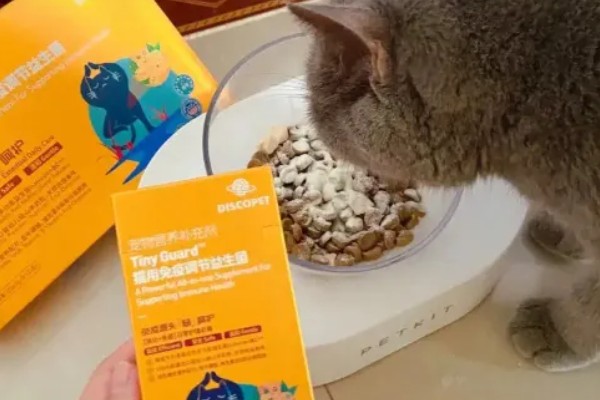 犬猫吃了体内驱虫药后的反应,有些不会产生不良反应
