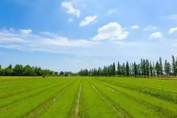 农业标准体系的三个特征,包括生物性、区域性和复杂性