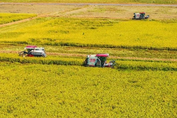 农业标准体系的三个特征,包括生物性、区域性和复杂性