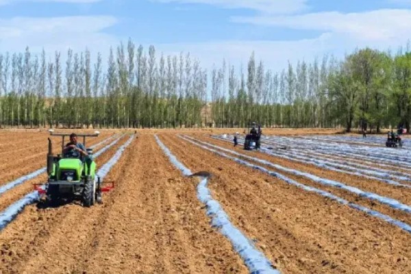 农业标准体系的三个特征,包括生物性、区域性和复杂性