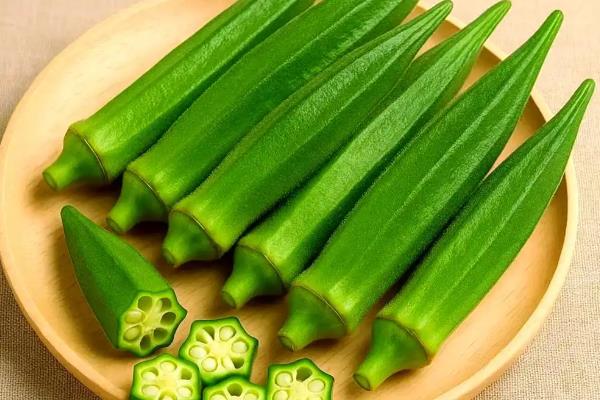 秋葵的简介,属于锦葵科、秋葵属植物