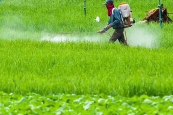 微生物农药使用的误区,常见以下5个误区