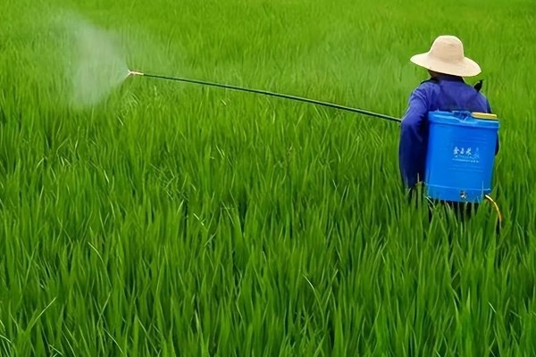 微生物农药使用的误区,常见以下5个误区