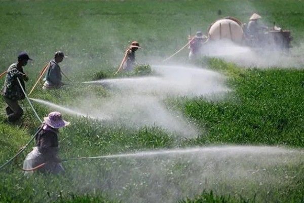 微生物农药使用的误区,常见以下5个误区