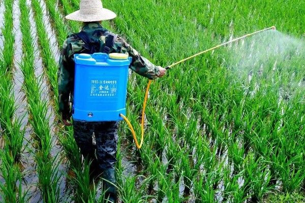 微生物农药使用的误区,常见以下5个误区
