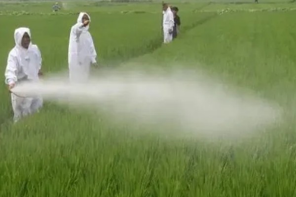 微生物农药使用的误区,常见以下5个误区