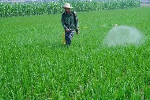 微生物农药使用的误区,常见以下5个误区