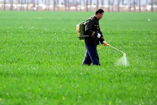 微生物农药使用的误区,常见以下5个误区