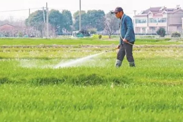 微生物农药使用的误区,常见以下5个误区