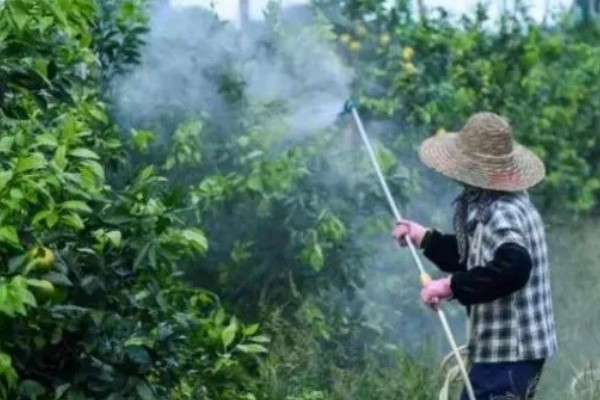 微生物农药使用的误区,常见以下5个误区
