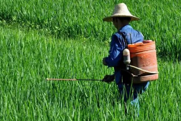 微生物农药使用的误区,常见以下5个误区