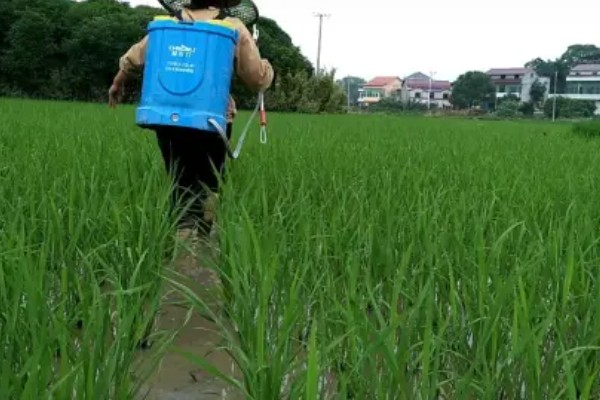 微生物农药使用的误区,常见以下5个误区