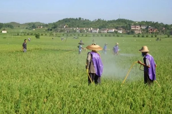 微生物农药使用的误区,常见以下5个误区