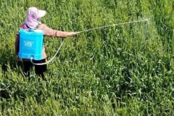 微生物农药使用的误区,常见以下5个误区