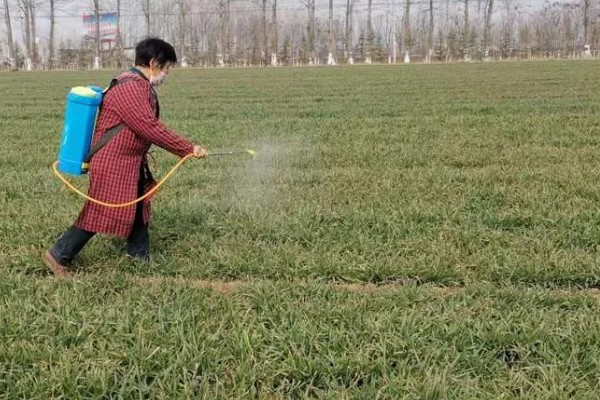 微生物农药使用的误区,常见以下5个误区