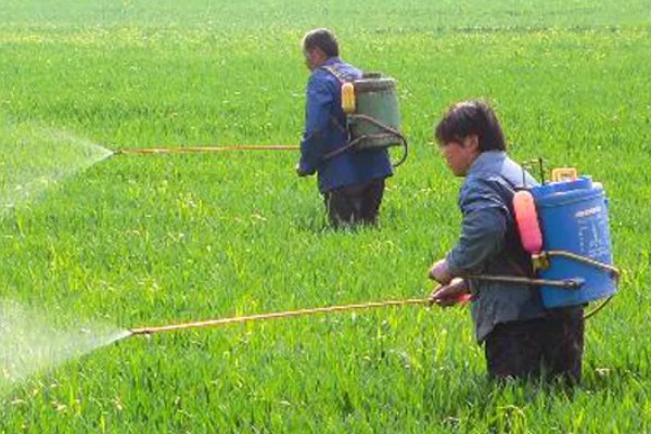 微生物农药使用的误区,常见以下5个误区