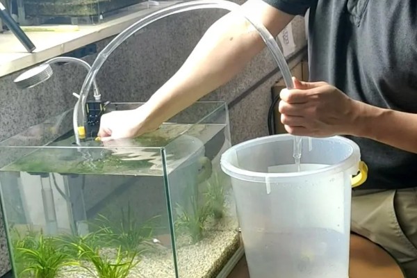 怎么判断鱼缸要不要换水，主要看水体的浑浊情况而定