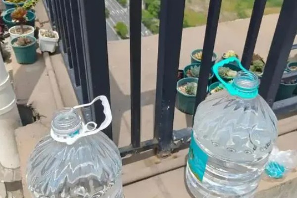 怎么判断鱼缸要不要换水，主要看水体的浑浊情况而定