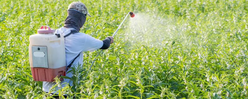 蔬菜农药选择技巧，可选用微生物农药