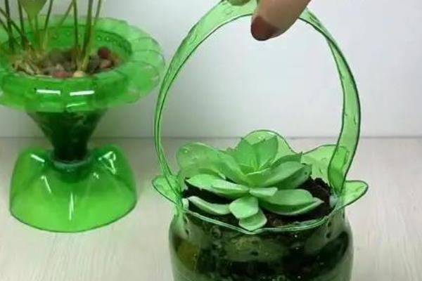 怎么用瓶子做花盆,画出标记线再修剪