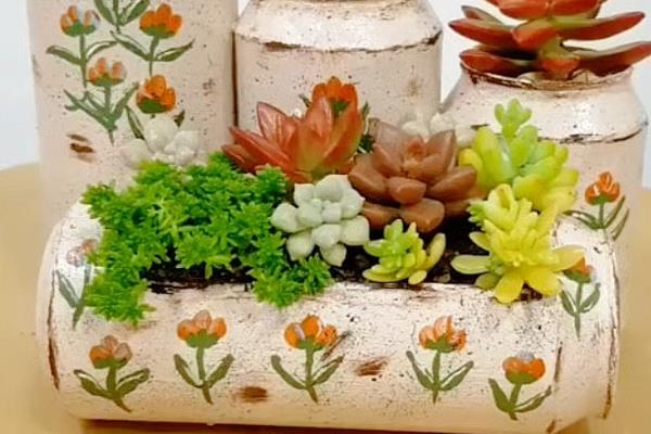 怎么用瓶子做花盆,画出标记线再修剪