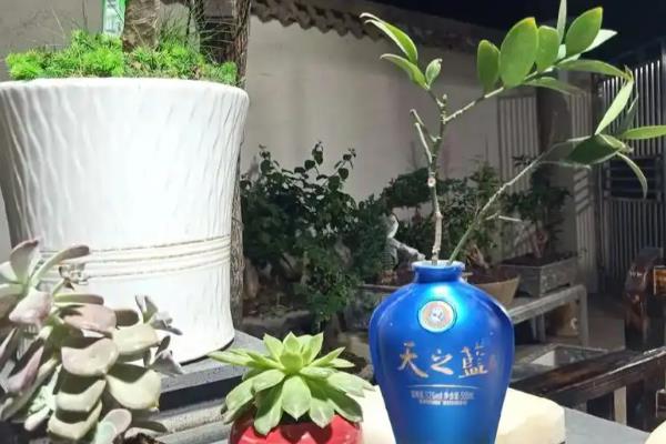 怎么用瓶子做花盆,画出标记线再修剪