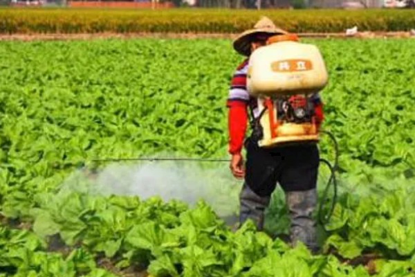 蔬菜农药选择技巧,可选用微生物农药