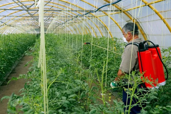 蔬菜农药选择技巧,可选用微生物农药