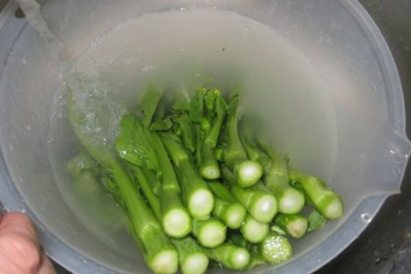 蔬菜农药选择技巧,可选用微生物农药