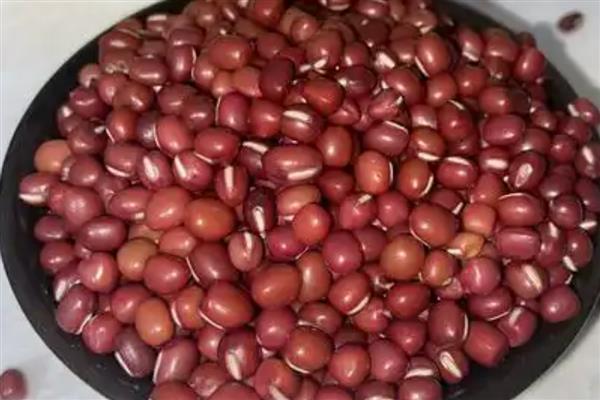 红豆从播种到收获需要几天，需要130天左右
