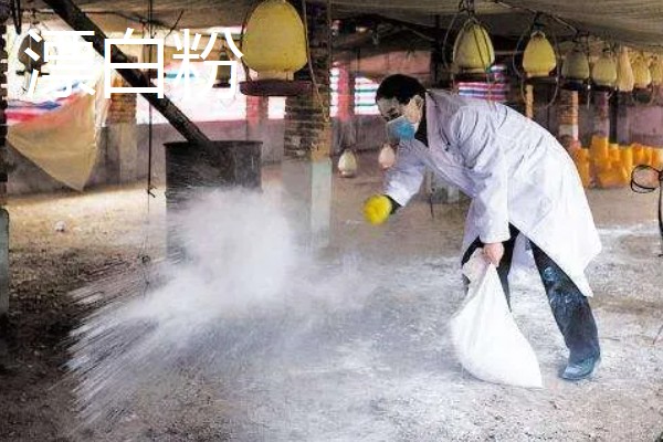 哪些消毒液能灭杀非洲猪瘟病毒,氢氧化钠、戊二醇等药物都有效果