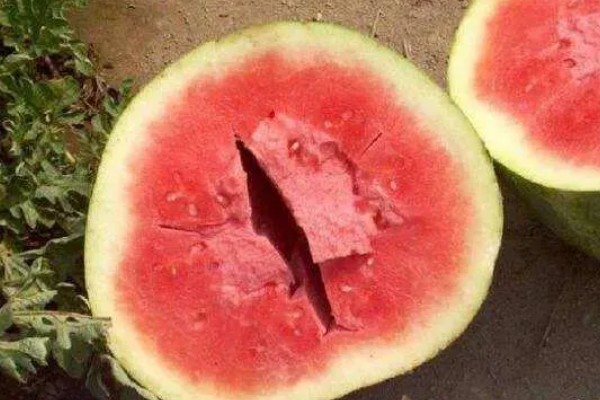 西瓜的种植方法，伸蔓期追施三元复合肥
