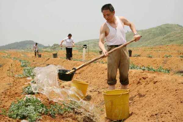 西瓜的种植方法，伸蔓期追施三元复合肥