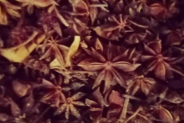 八角简介，是一种风味独特的调味料