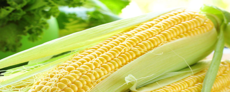 美和001玉米种子特征特性，中等肥力以上地块栽培